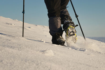 Man walking on snow with shoe spikes in winter time