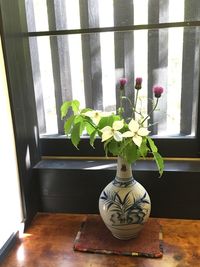 Close-up of potted plant on window sill at home