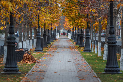 Avenue in the city in autumn