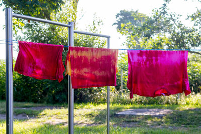 Clothes drying on plant against trees