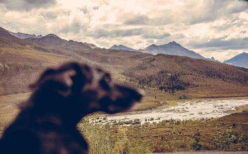 Low section of person on horse by mountain against sky