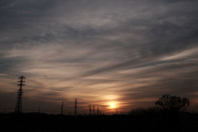 Silhouette of trees at sunset