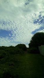 Scenic view of landscape against cloudy sky