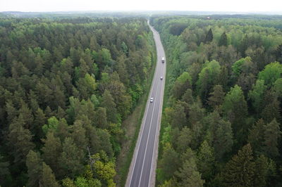 High angle view of road amidst trees in forest