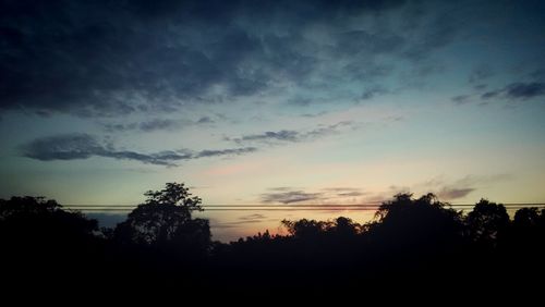 Silhouette of trees at sunset