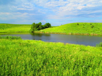 Scenic view of grassy field by lake against sky