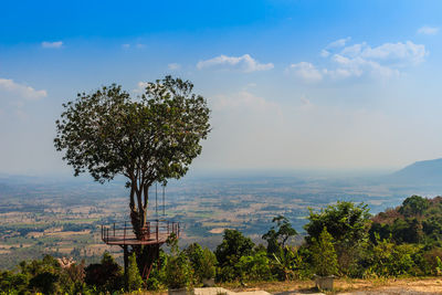 Tree on field against sky