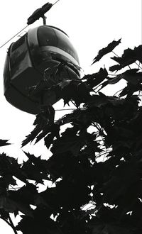 Low angle view of tree against sky