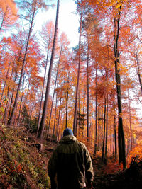 Rear view of man amidst trees in forest during autumn