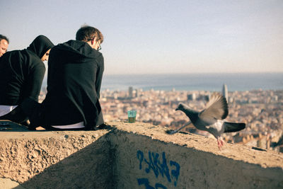 View of seagull on retaining wall against cityscape