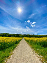 Scenic view of agricultural field against bright sky