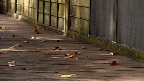 View of falling leaves on footpath by the japanese old house