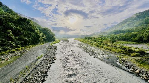 environment