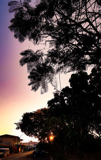 Low angle view of silhouette trees against sky at sunset