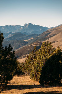 nature