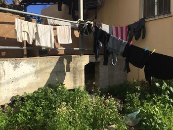 Clothes drying on clothesline