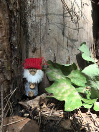 High angle view of toy on tree trunk in forest