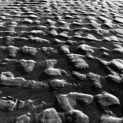 Full frame shot of tiled floor