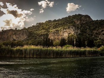 Scenic view of trees by lake against sky