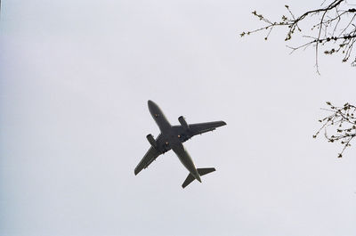 Low angle view of airplane flying in sky