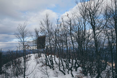 Bare trees on snow covered landscape