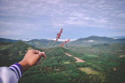 Cropped hand holding plant on mountain against cloudy sky