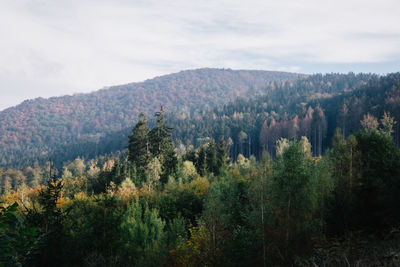 Scenic view of trees and mountains against sky