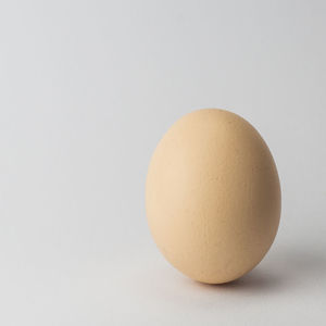 Close-up of egg against white background