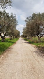 Empty road along plants and trees against sky