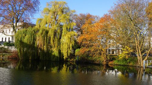 Scenic view of trees during autumn