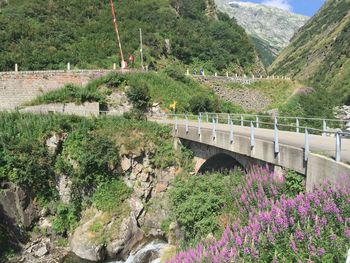 Scenic view of flowering plants by train against mountain