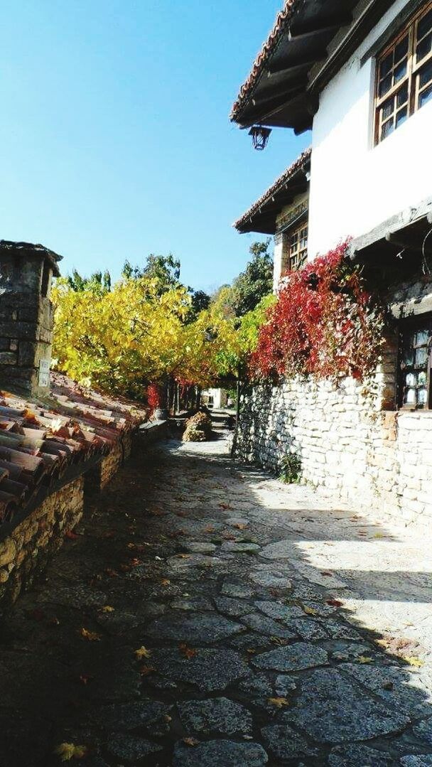 Balchik