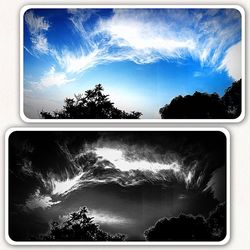 Silhouette trees against sky