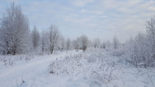 Snow covered landscape against sky