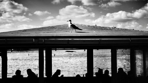 Low angle view of seagulls perching on railing against cloudy sky