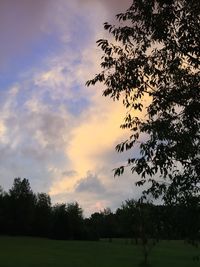 Silhouette of trees on field against cloudy sky