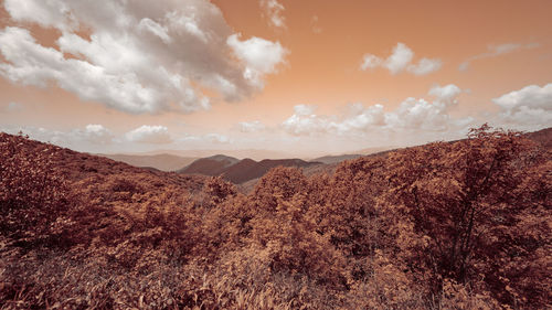 Scenic view of landscape against sky