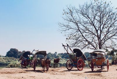 View of people riding horse cart