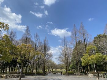 Trees in park against sky