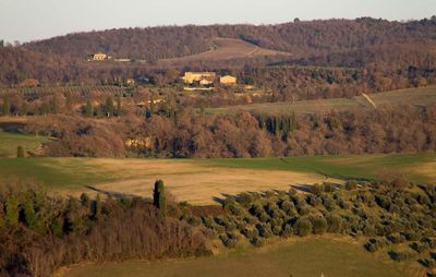 Scenic view of grassy field