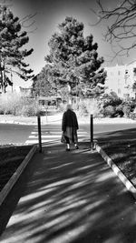 Rear view of woman standing in park