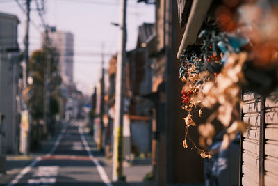 View of city street