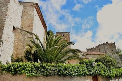 Low angle view of plants against built structures