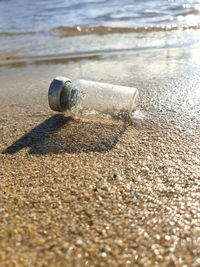 Close-up of shells on sand at beach