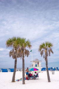 Palm trees on beach against sky