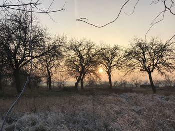 Bare trees on landscape against sky at sunset