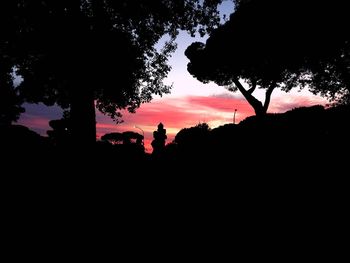 Silhouette trees at sunset