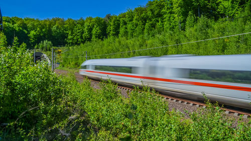 Blurred motion of train by trees