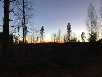 Silhouette of trees against sky