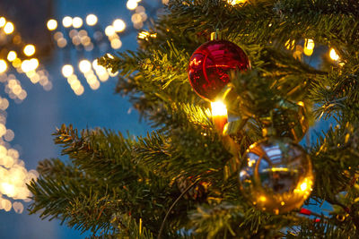 Close-up of illuminated christmas tree